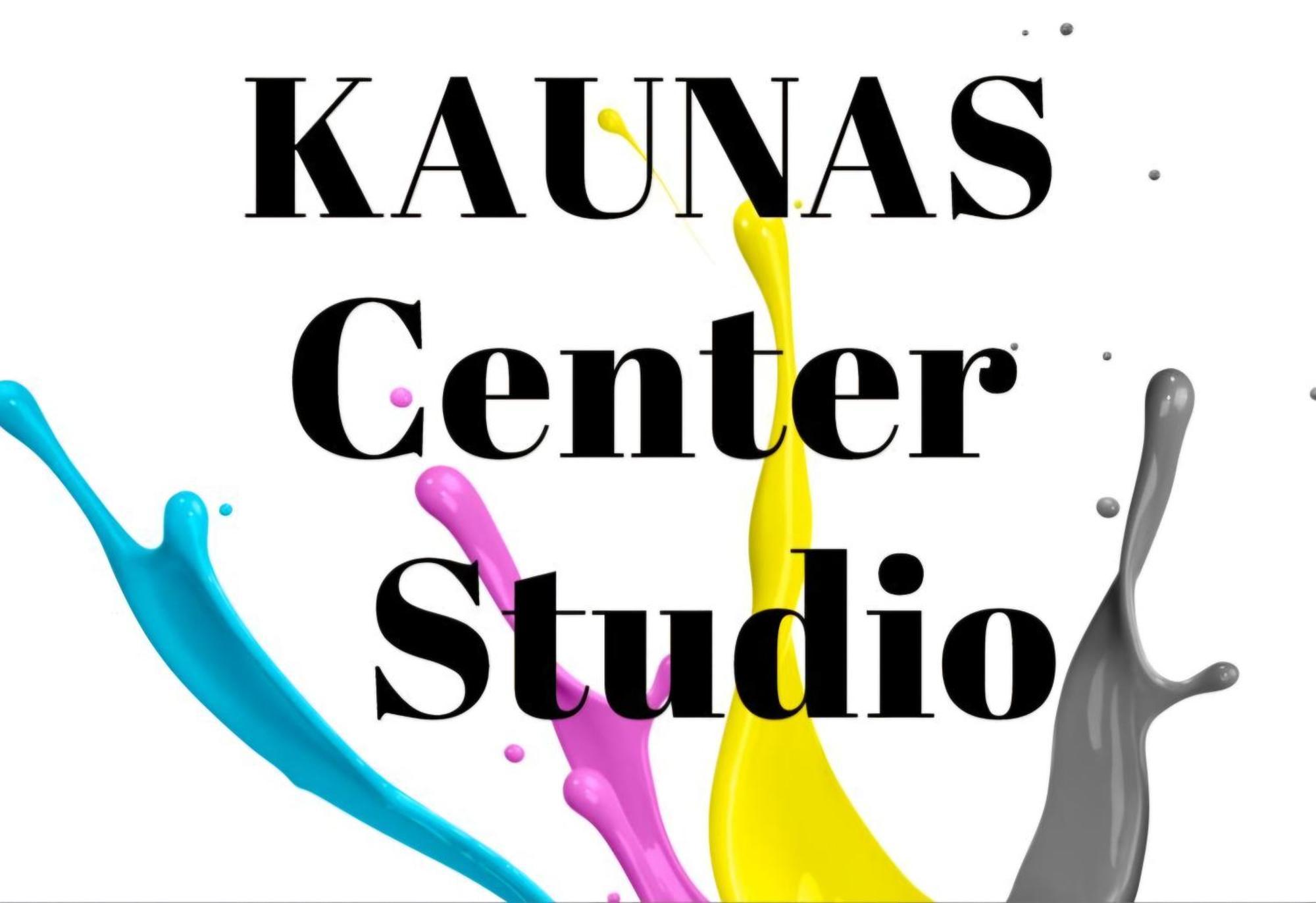 Kaunas Center Studio エクステリア 写真